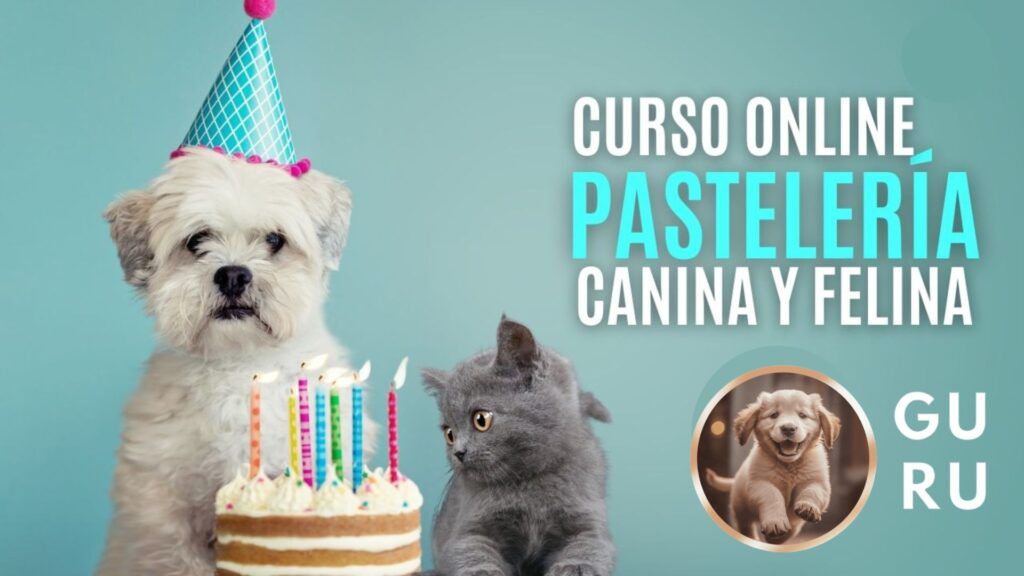 Curso de Pastelería Canina y Felina